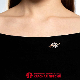 Брошь Красная пресня - Серебро 925, Фианит (арт. 13815847)