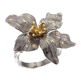 Кольцо Мастер Клио - Серебро 925 (арт. 31К156036)